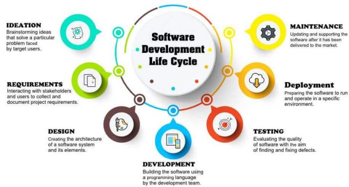 Exploring the Software Development Life Cycle