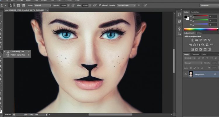 Mastering the Clone Stamp Tool in Photoshop Unleashing Creativity
