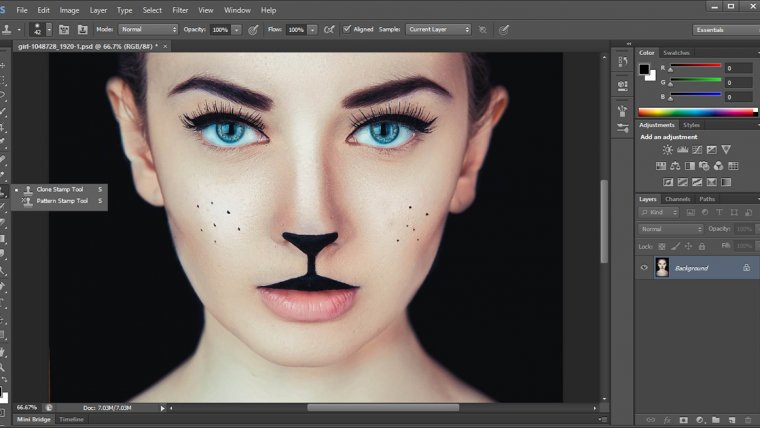 How to Master the Clone Stamp Tool in Photoshop Mastering the Clone Stamp Tool in Photoshop