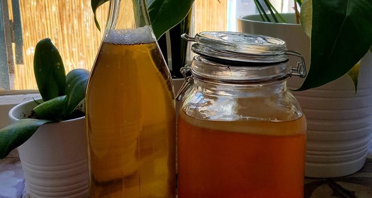 Kombucha The Fermented Drink Revolution Unleashed
