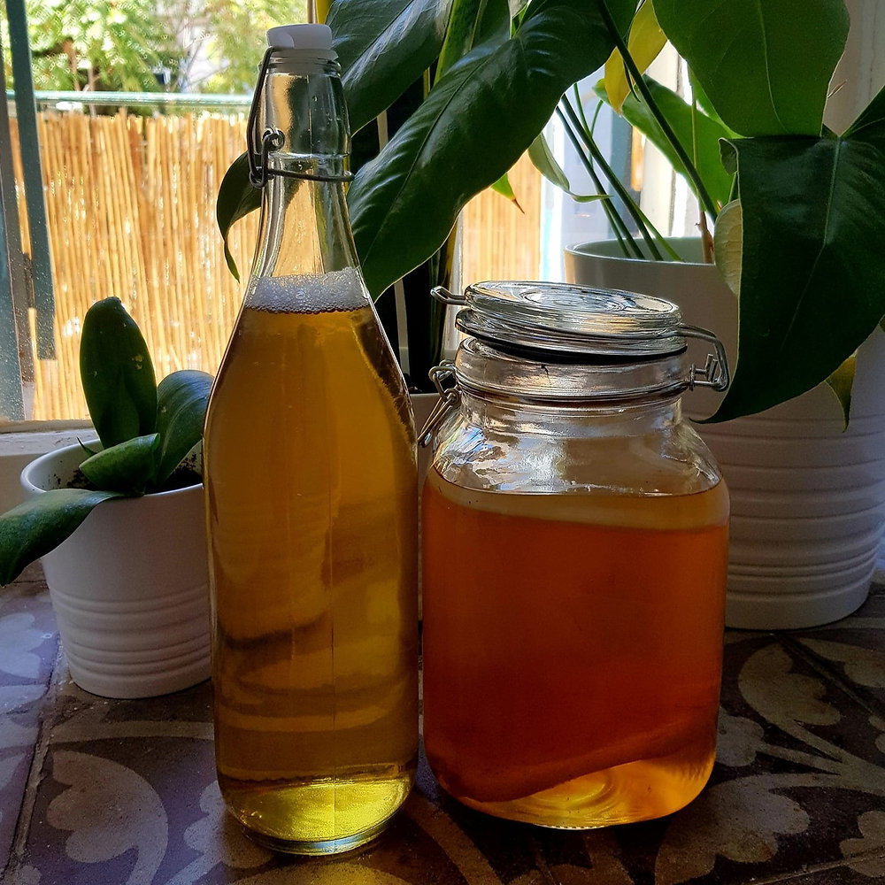 Kombucha The Fermented Drink Revolution