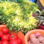 The Advantages of Frozen Vegetables and Fruits