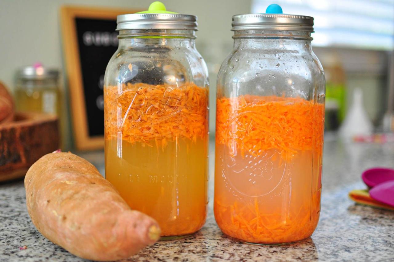 Fermented Drinks The Growing Demand for Healthy Beverages