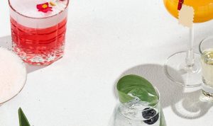 The Role of RTD Drinks in Modern Consumer Habits