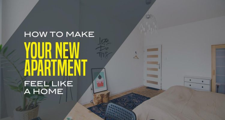 Features to Look for in a New Apartment