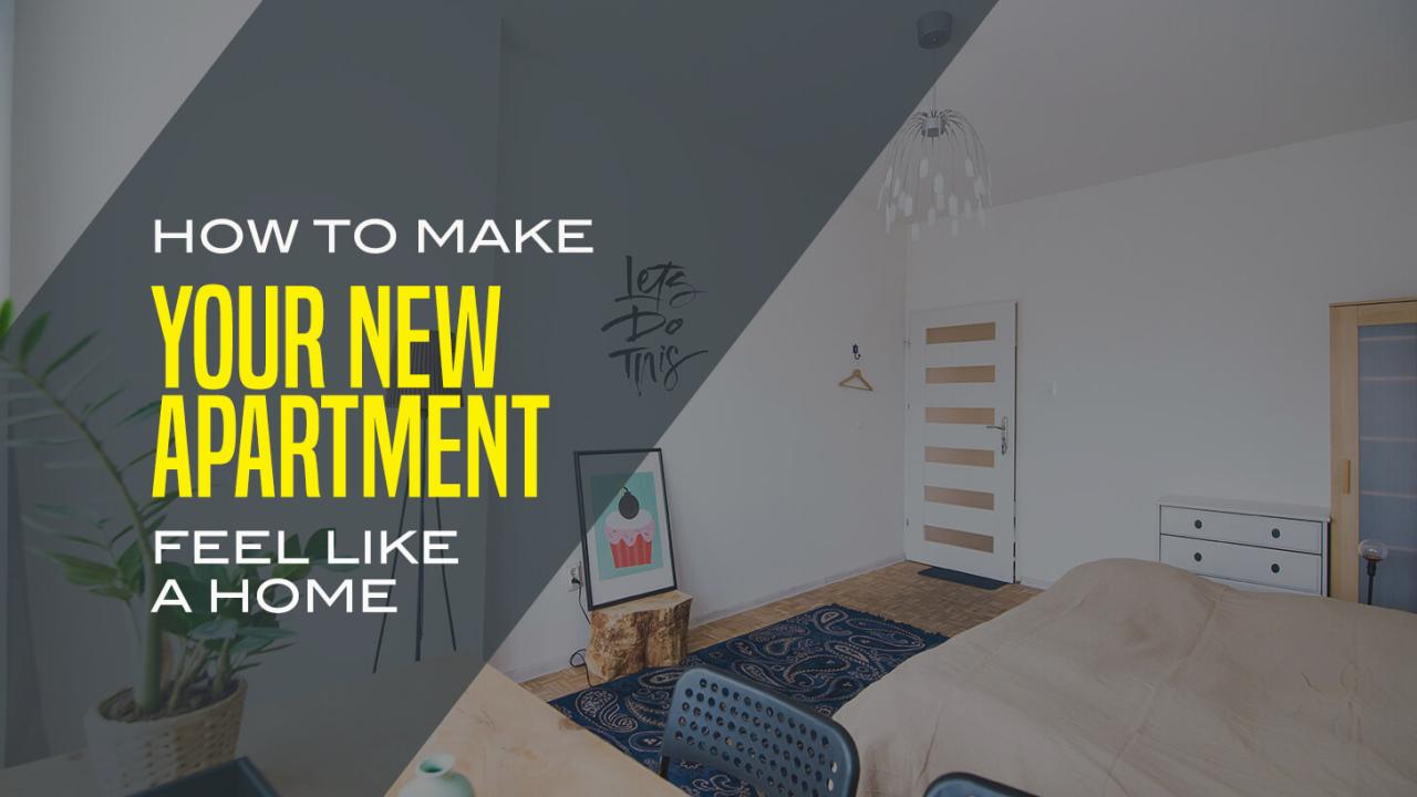 Features to Look for in a New Apartment