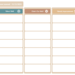 Case Study Project Management Failures and the Lessons Learned