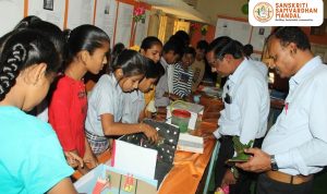 Challenges in Rural Education and Possible Solutions