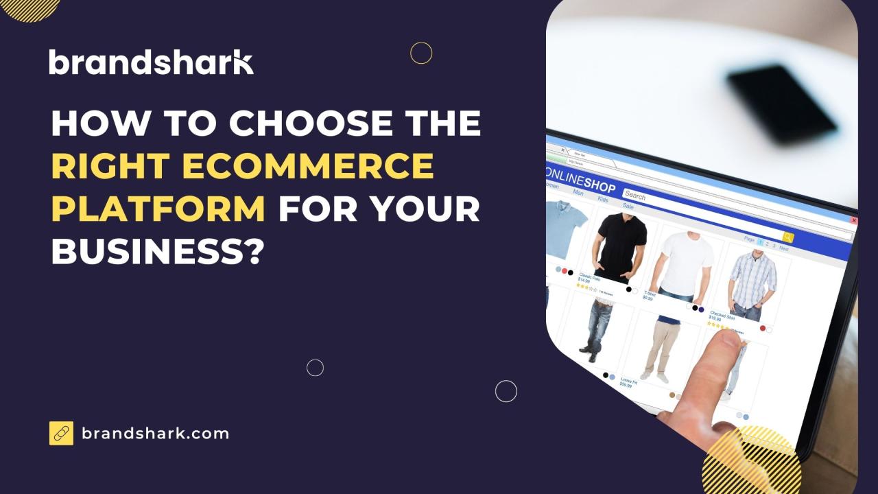 Choosing the Right Platform for Your E-commerce Business