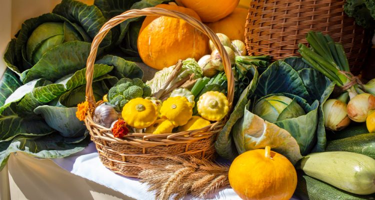 Fresh Vegetables in Global Cuisines Exploring Diversity