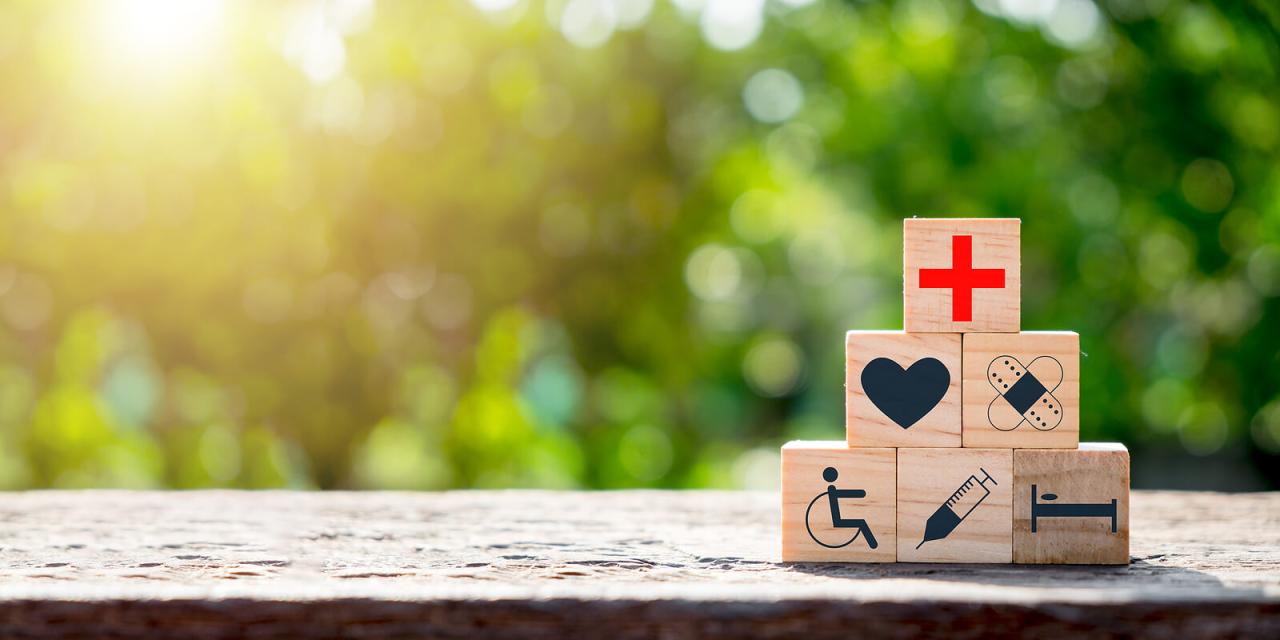 Business Opportunities in the Health and Wellness Industry