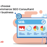 Why Every E-commerce Business Needs an SEO Consultant for Growth