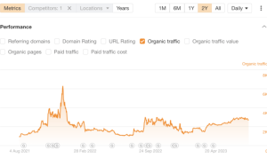 How to Work Effectively with an SEO Consultant for Maximum Results