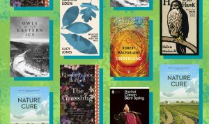 Books That Inspire a Love for Nature and Discovery