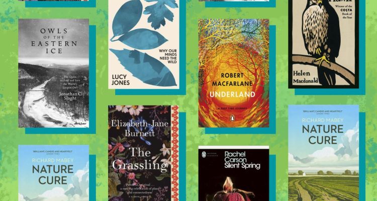 Books That Inspire a Love for Nature and Discovery