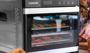 Budget Gadgets That Do Big Things