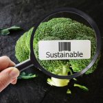 Fresh Seafood Sustainability and Quality Tips