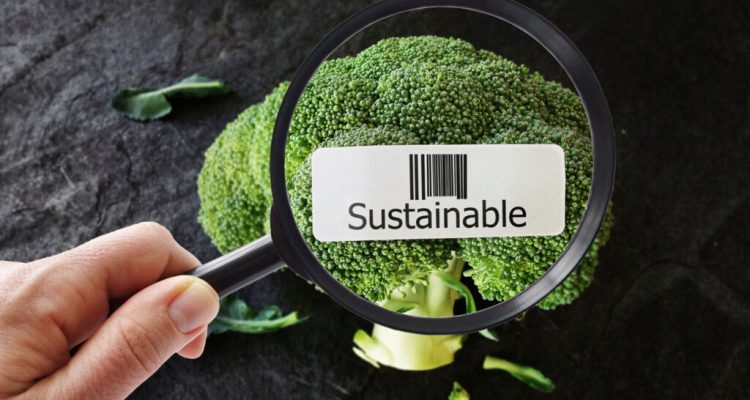 Fresh Seafood Sustainability and Quality Tips