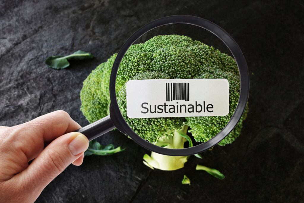 Fresh Seafood Sustainability and Quality Tips